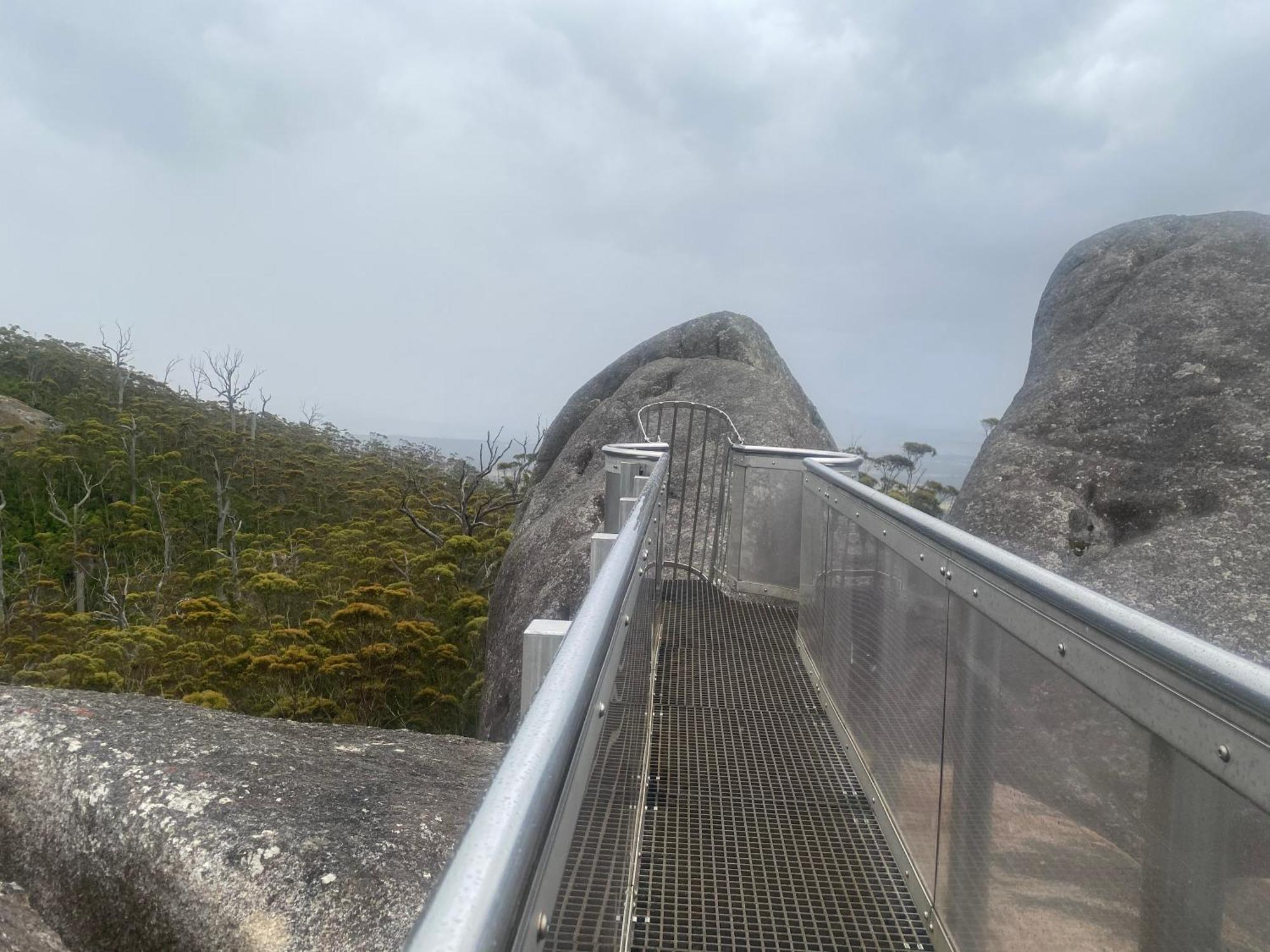Manyat Peak Boobook *